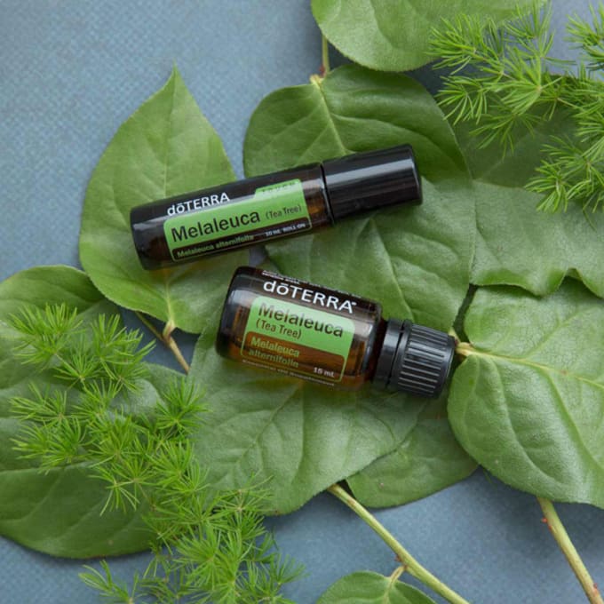 olio-essenziale-di-melaleuca