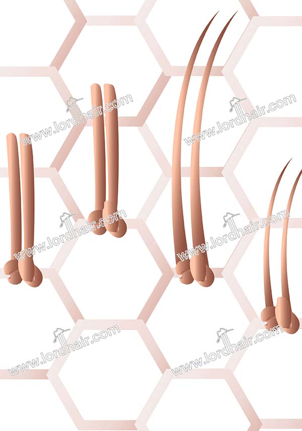Annodatura Doppia "Split" (Double Split Knotting)