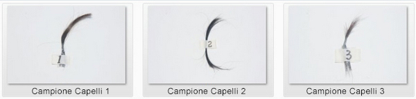 hair sample