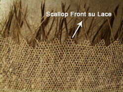 lace hair replacement scallop front