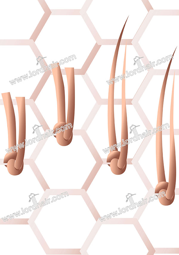 Annodatura Singola "Split" (Single Split Knotting)