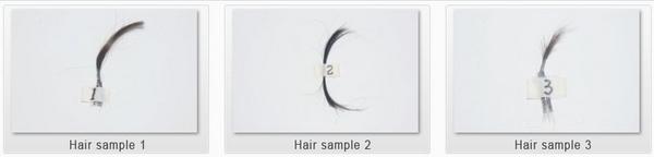 hair sample